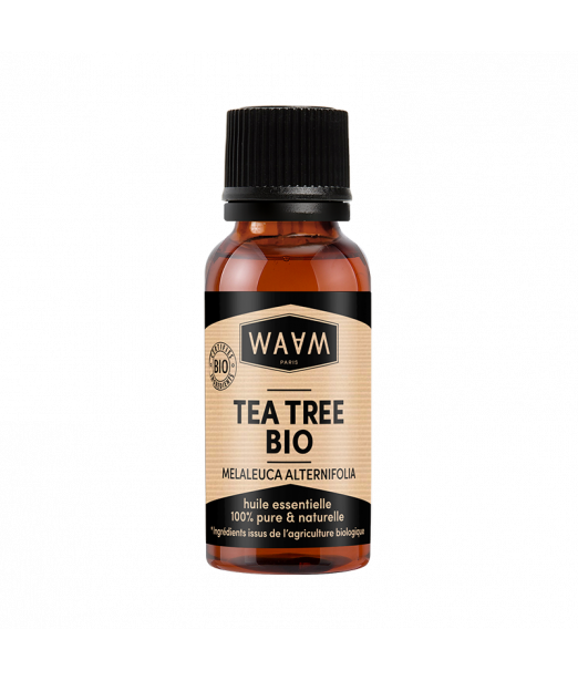 Huile Essentielle de Tea Tree (Arbre à thé) - Prodigia cosmetics