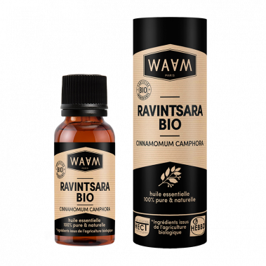 Organic Ravintsara Essential Oil - Purifying, Stimulating, Energizing | WAAM Cosmetics