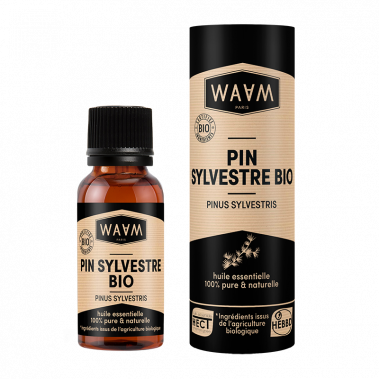 Huile Essentielle Pin Sylvestre BIO - Décongestionnante, Assainissante, Antiseptique | WAAM Cosmetics