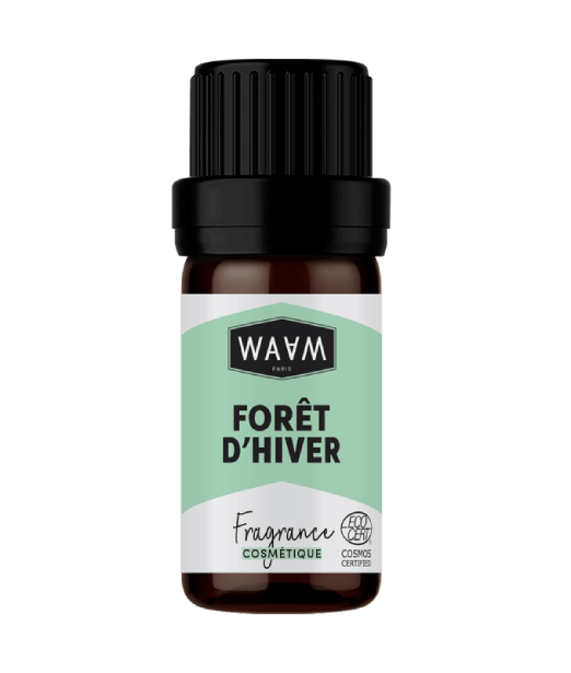 Winter forest fragrance