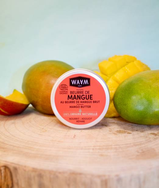 Beurre de Mangue Raffiné BIO - Huiles végétales et essentielles bio au  meilleur prix 