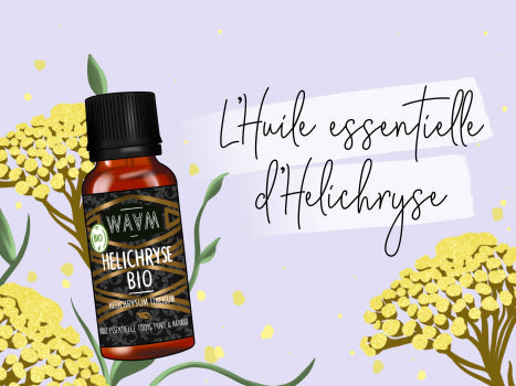 Tout savoir sur l'huile essentielle d'Hélichryse