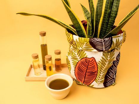 Elixir "Coup de pousse"