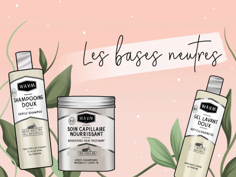 Tout savoir sur les bases neutres