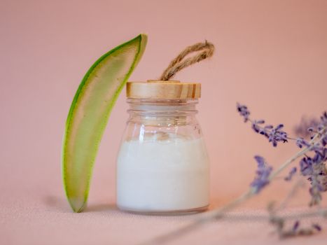 Soin Hydratant Pour Cheveux à l’Aloe Vera