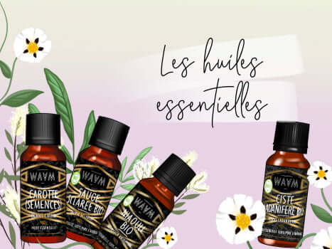 Huiles Essentielles : Tout Ce Que Vous Devez Savoir (FAQ)