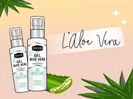 Tout savoir sur l'aloe vera
