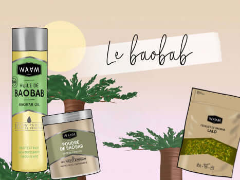 Tout Savoir sur le Baobab