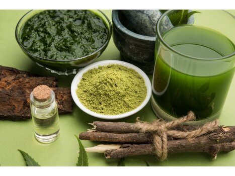 5 faits que vous ignorez sur le neem