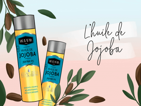 Tout savoir sur le Jojoba