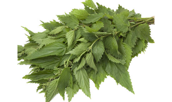 Stinging Nettle Capsules