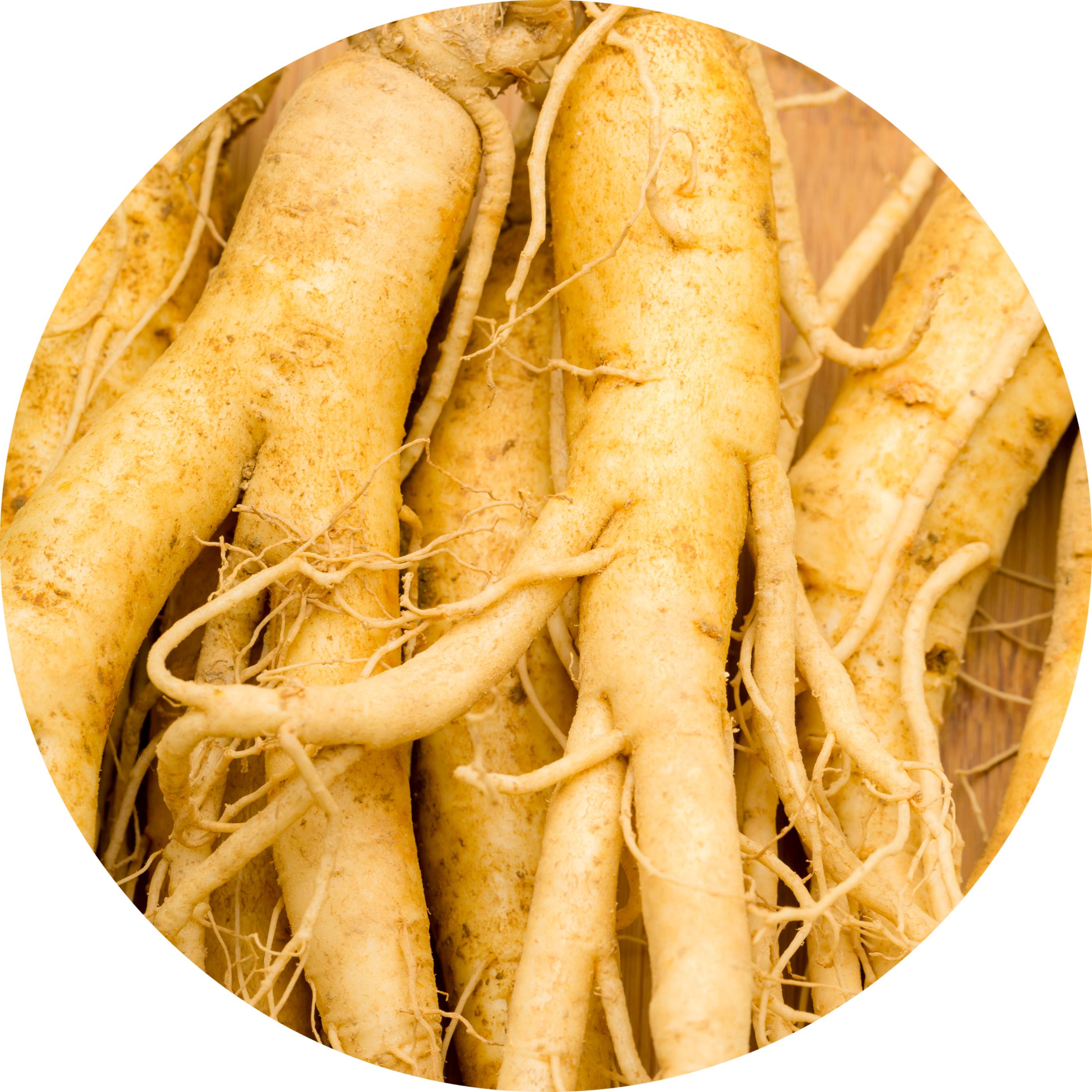 Ginseng