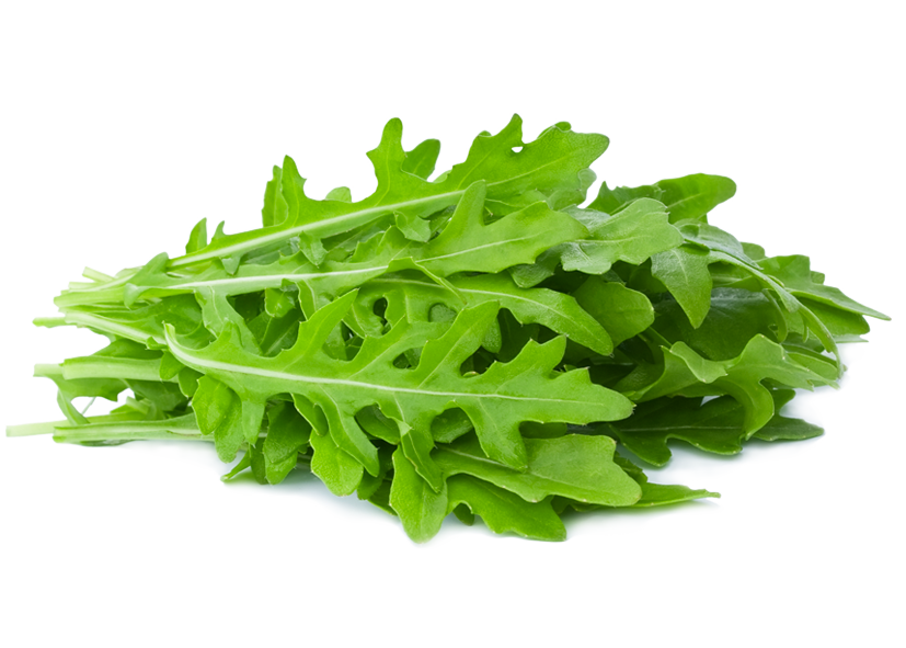 Roquette