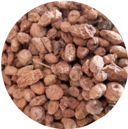 Huile de baobab