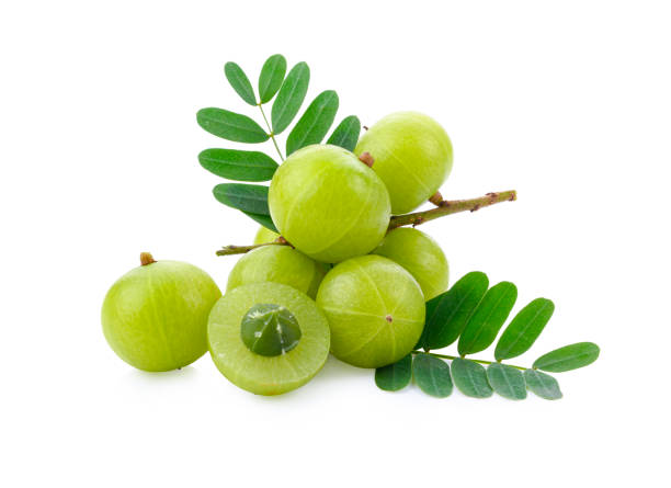 Amla