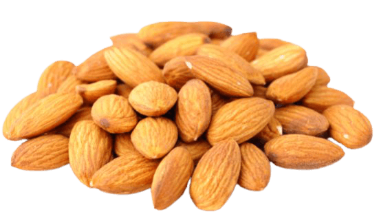 1121_48211_1121_96922_almond-gw5ynex-2-removebg-preview-1.png