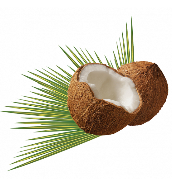 501_86262_noix-de-coco-waam-copy.png