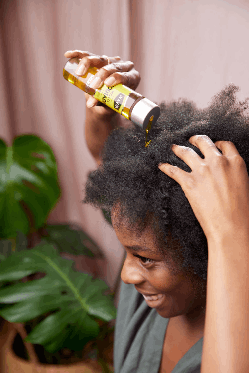 Cheveux De Beauté Et Femme Afro Et Noire Et Peigne Pour Les Soins  Personnels Naturels Et