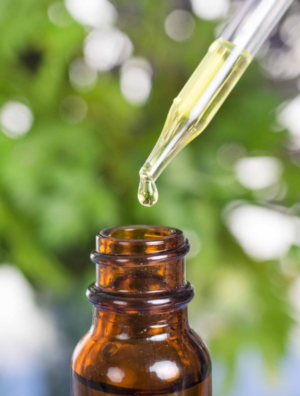 Comment obtenir l'huile essentielle d'Hélichryse ?