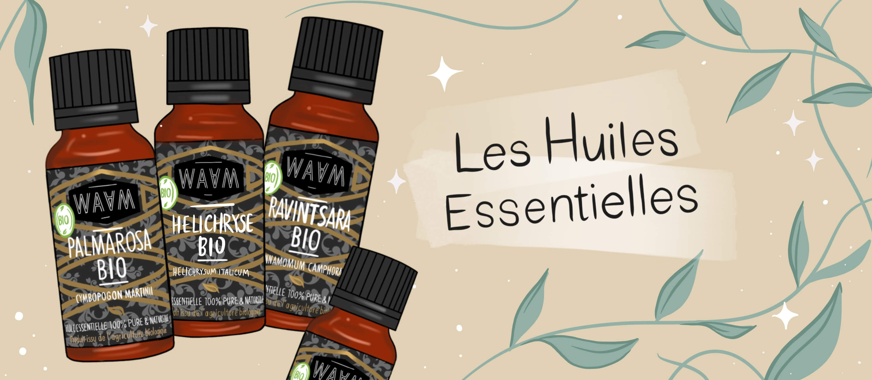 Tout Savoir Sur Les Huiles Essentielles - WAAM Cosmetics